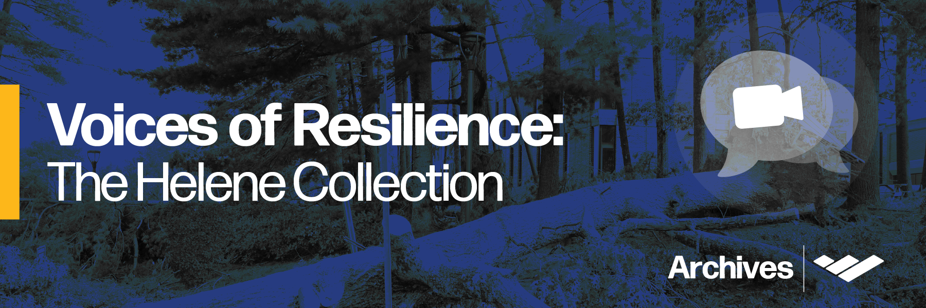Voices Of Resilience Archive Header