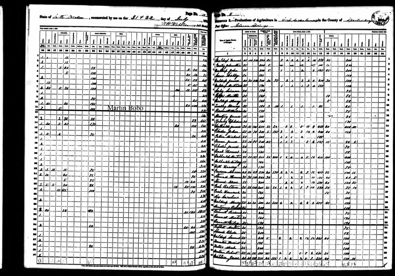1870_AgCensus10+11.jpg