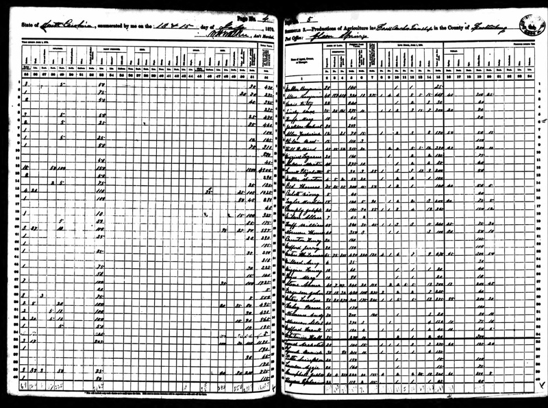 1870AgCensus4+5.jpg