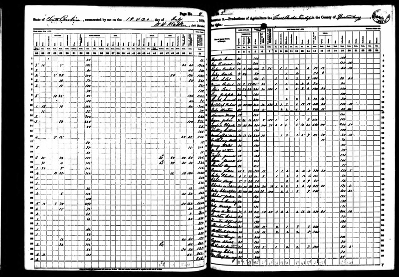 1870_AgCensus8+9.jpeg